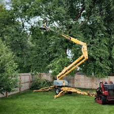  Mayodan, NC Tree Removal Pros